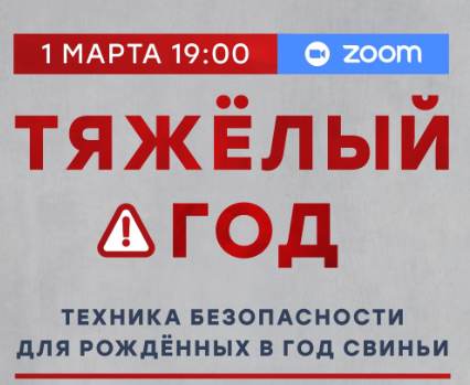 Тяжелый год. Техника безопасности для рожденных в год Свиньи (Александр Литвин)