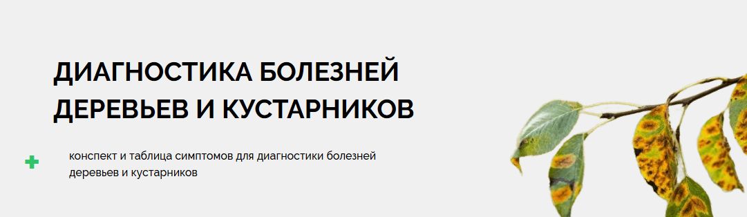 [Умный Садовник] Диагностика болезней деревьев и кустарников