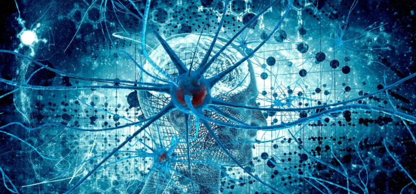 [Архэ] Введение в когнитивную нейронауку. Весь цикл 8 лекций. (Ольга Сварник)