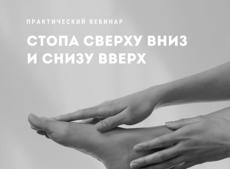 Стопа сверху вниз и снизу вверх (Александр Волоткевич)