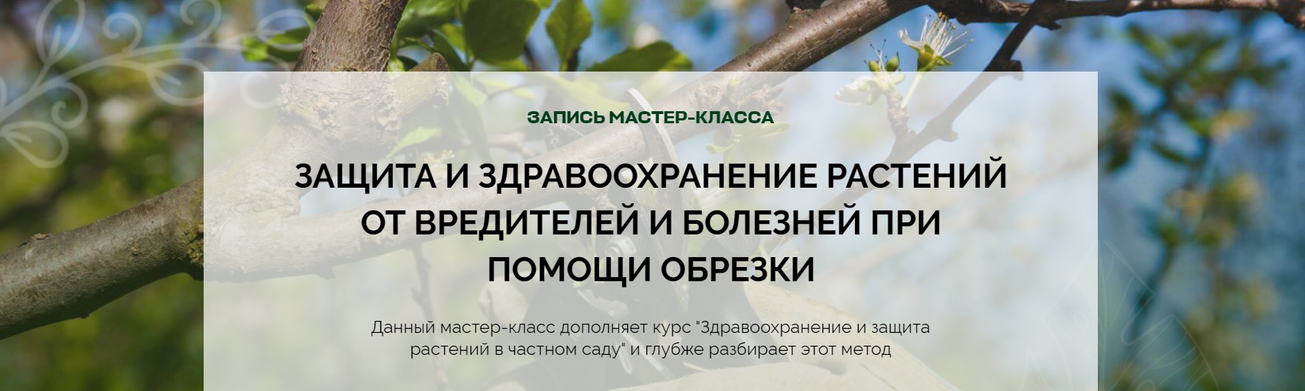 [Умный Садовник] Защита и здравоохранение растений от вредителей и болезней при помощи обрезки (Дмитрий Звонка)