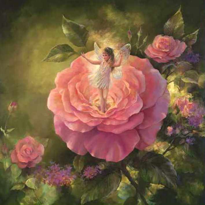 Расширение прав и возможностей фей роз (Тина Саруп)