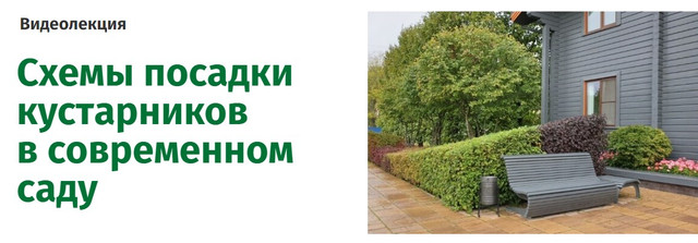 Схемы посадки кустарников в современном саду (Наталья Мягкова)