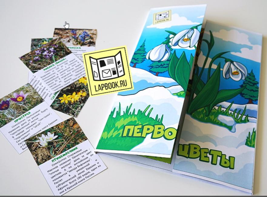Шаблон лэпбука Первоцветы (Татьяна Пироженко)