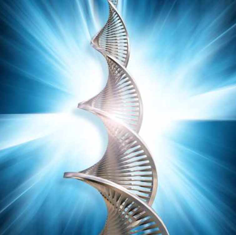 Кундалини Рейки Платина (Оле Габриэльсен, Марияна Габриэльсен)