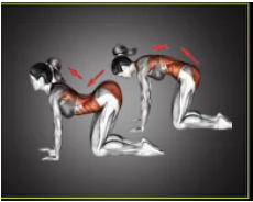 90/90 главное упражнение фитнеса йоги и реабилитации. Позиционирование диафрагмы (Александр Волоткевич)