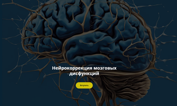 изображение курса Нейрокоррекция мозговых дисфункций. Январь 2025 (Салима Саиди)