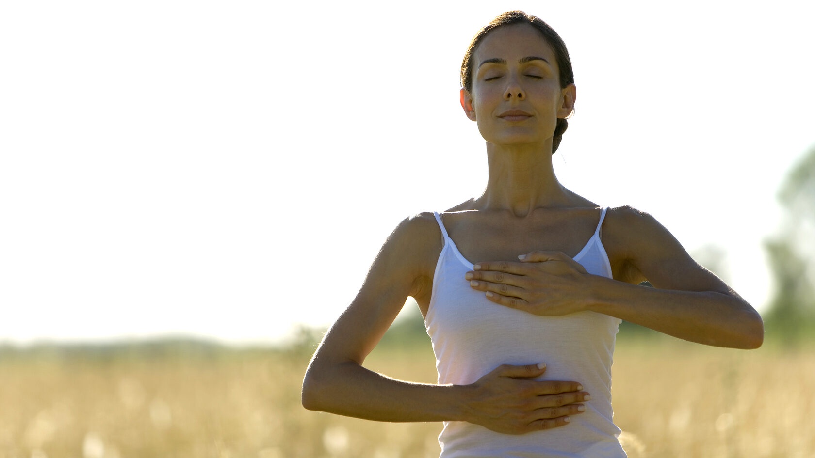 Дыхание. Механизмы, правила и техники 2016 (Вячеслав Смирнов)