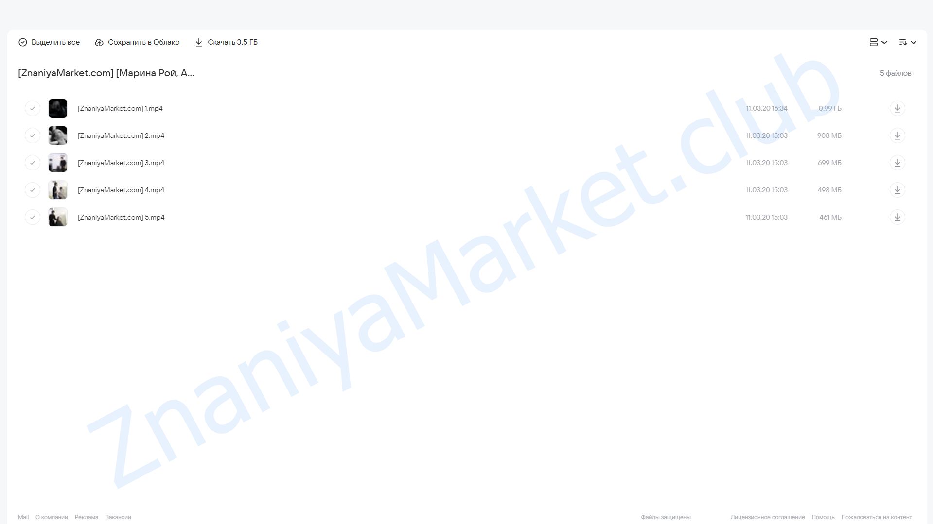 Брашинг класс online (Марина Рой, Александр Зацаринин, Илья Харитонов) облако mail, фото 2 из 2.