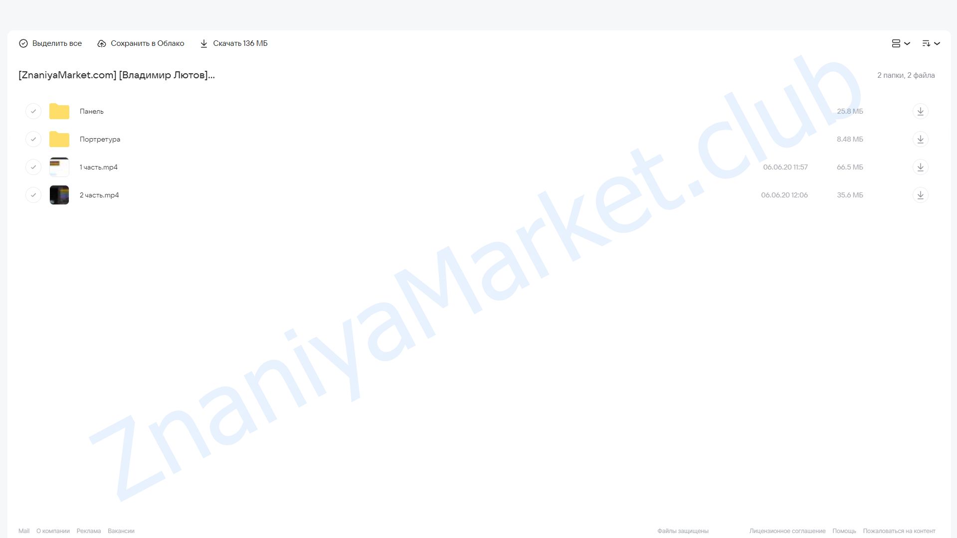 Экшены для быстрой ретуши «Лютая панель версия 2.0» (Владимир Лютов) облако mail, фото 2 из 2.