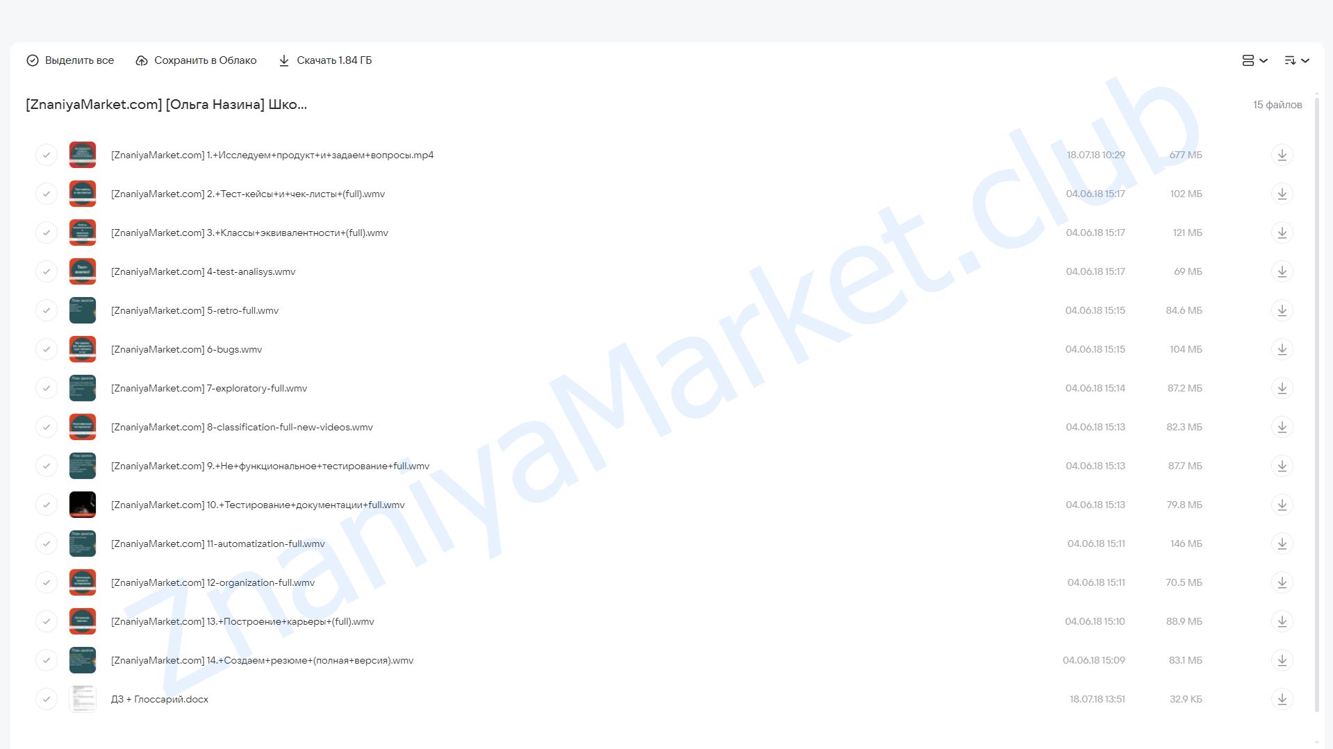 Школа для начинающих тестировщиков (Ольга Назина) облако mail, фото 2 из 2.