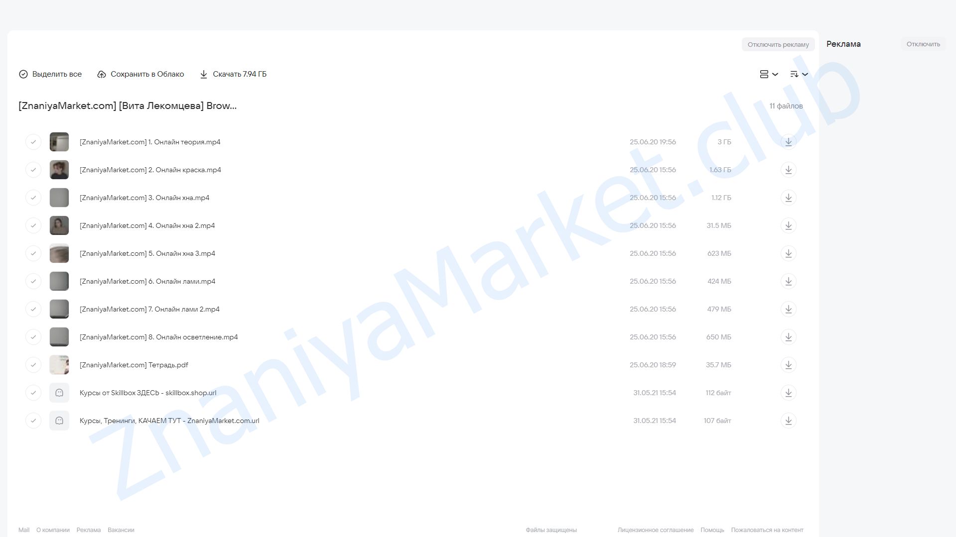 Brow Proкачка. Пакет Премиум (Вита Лекомцева) облако mail, фото 2 из 2.