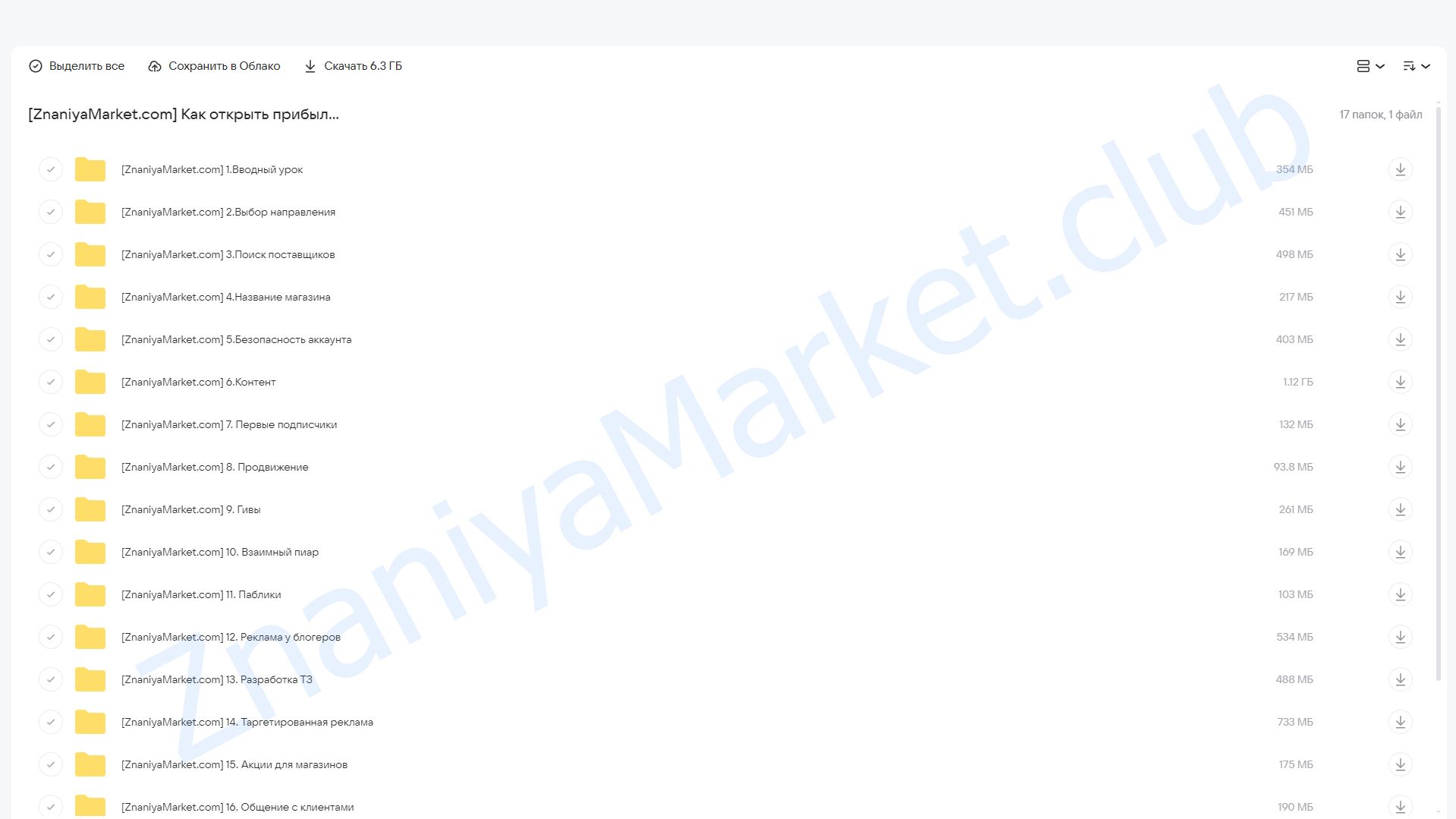 Как открыть прибыльный инста-магазин. Тариф #2 (Кристина Курепина) облако mail, фото 2 из 2.