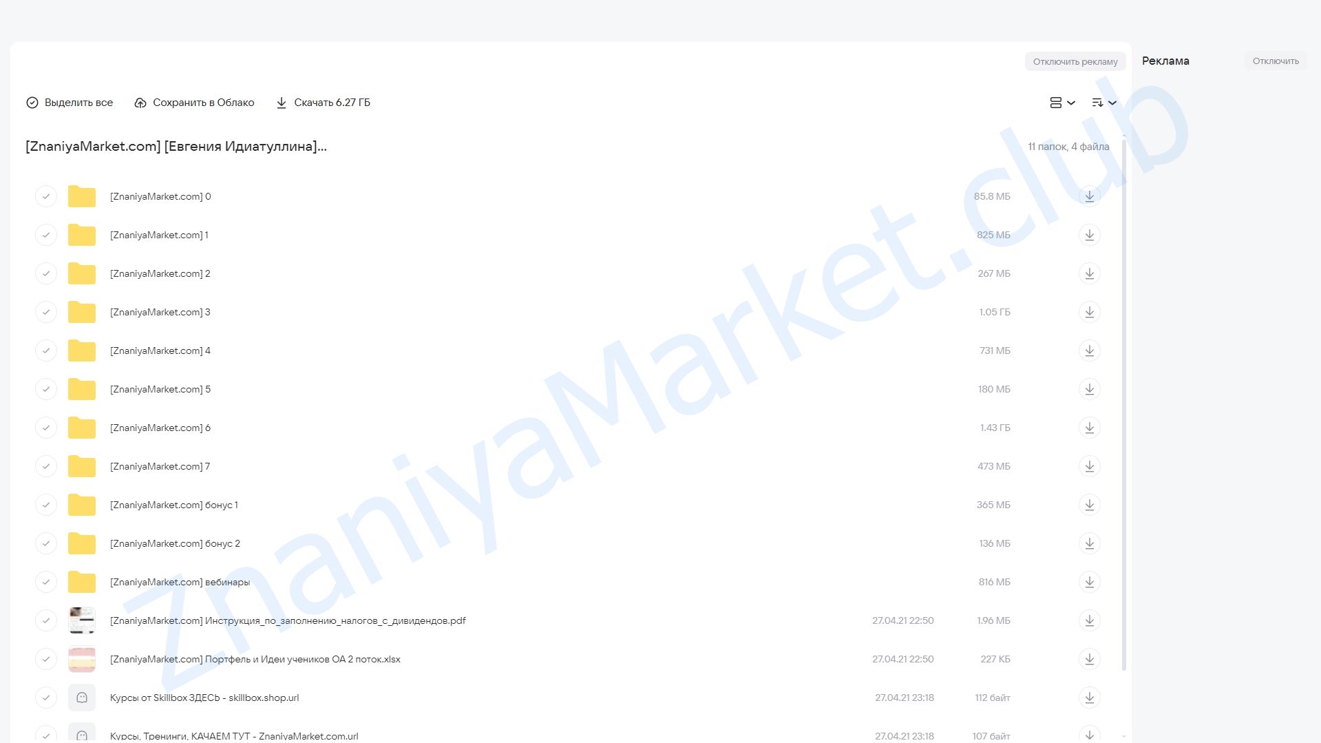 Оценка акций (Евгения Идиатуллина) облако mail, фото 2 из 2.