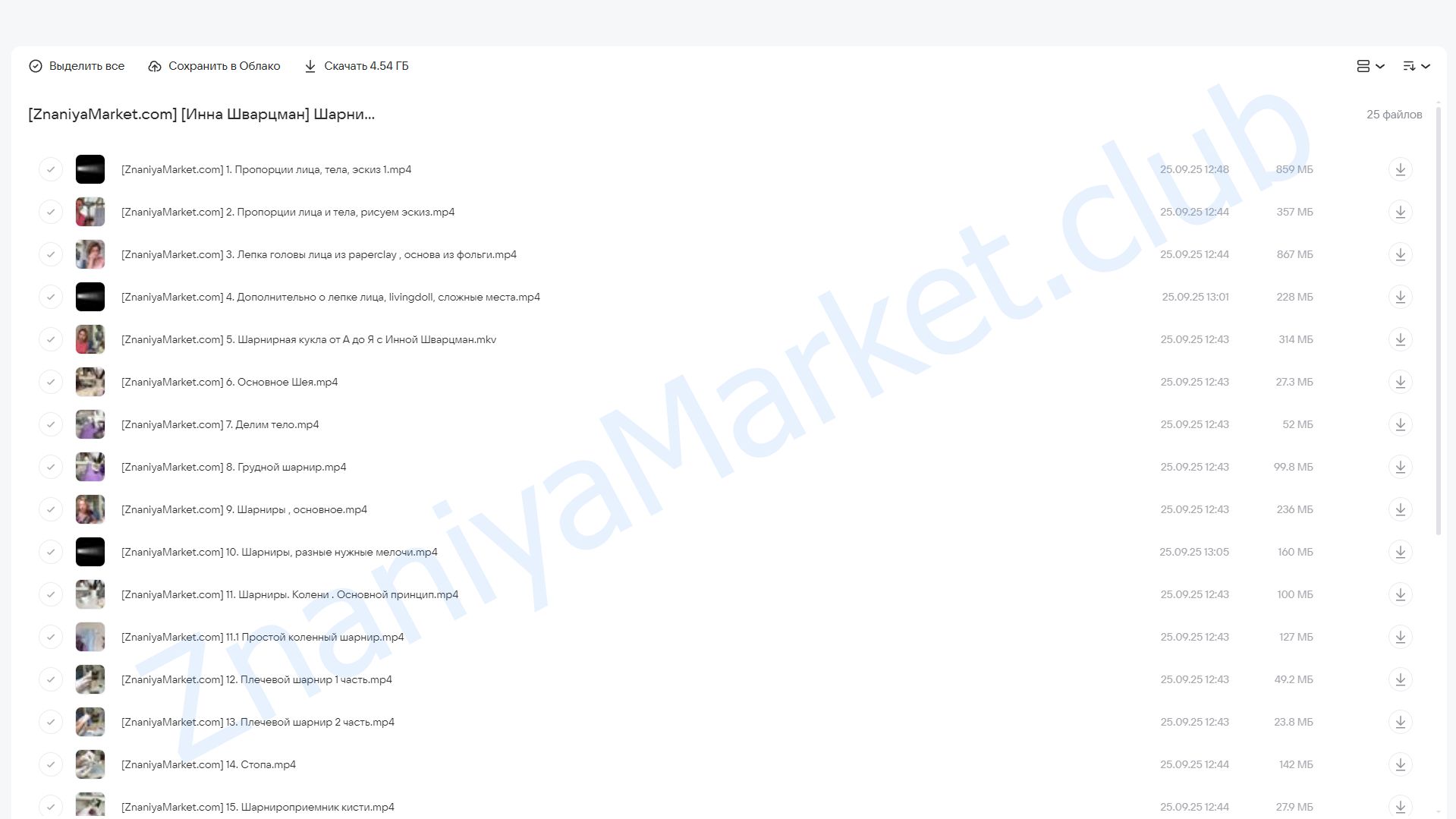 Шарнирная кукла от А до Я (Инна Шварцман) облако mail, фото 2 из 2.