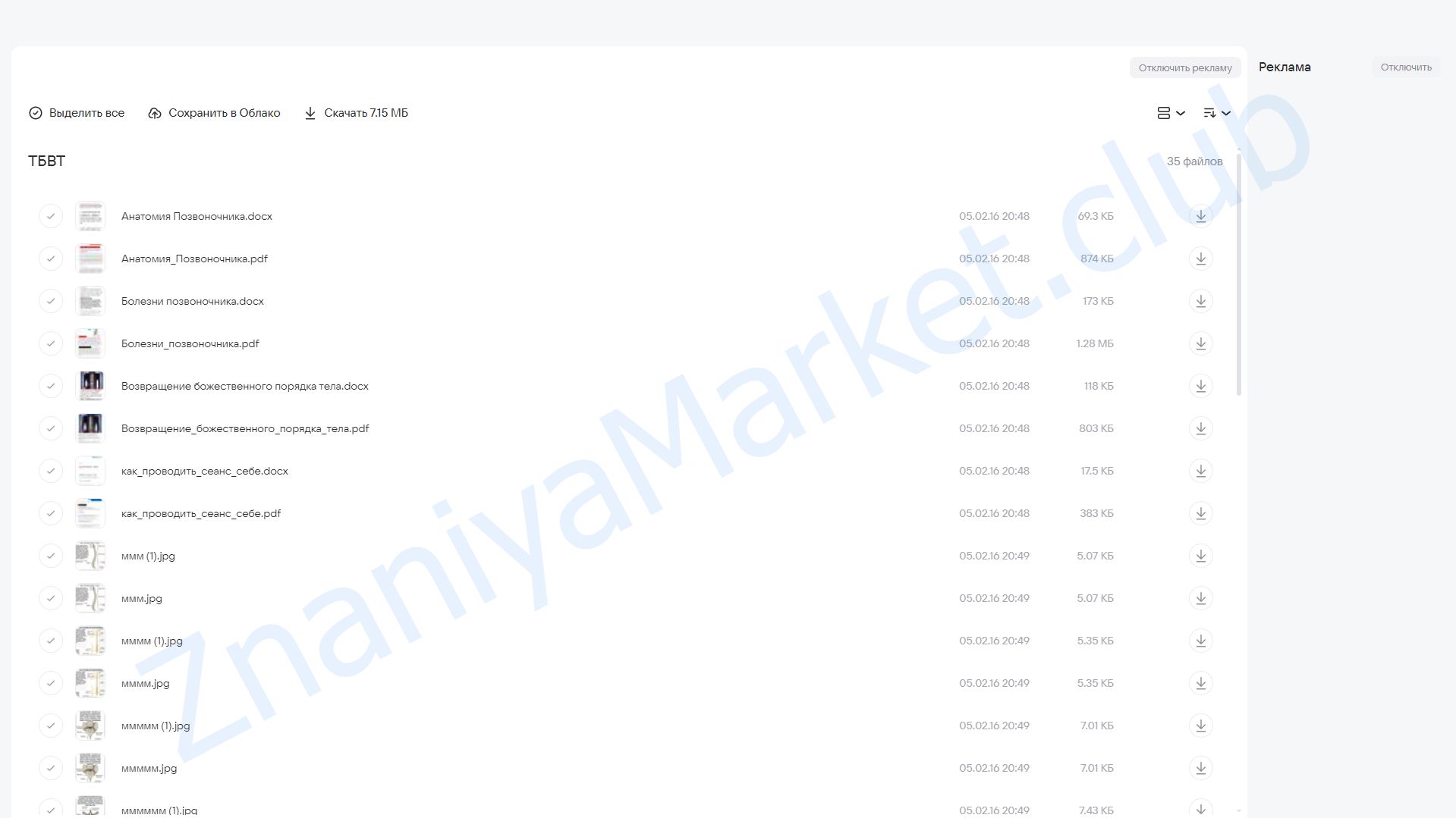 Терапевт божественного выравнивания тела (Алока Нама Ба Хал) облако mail, фото 2 из 2.