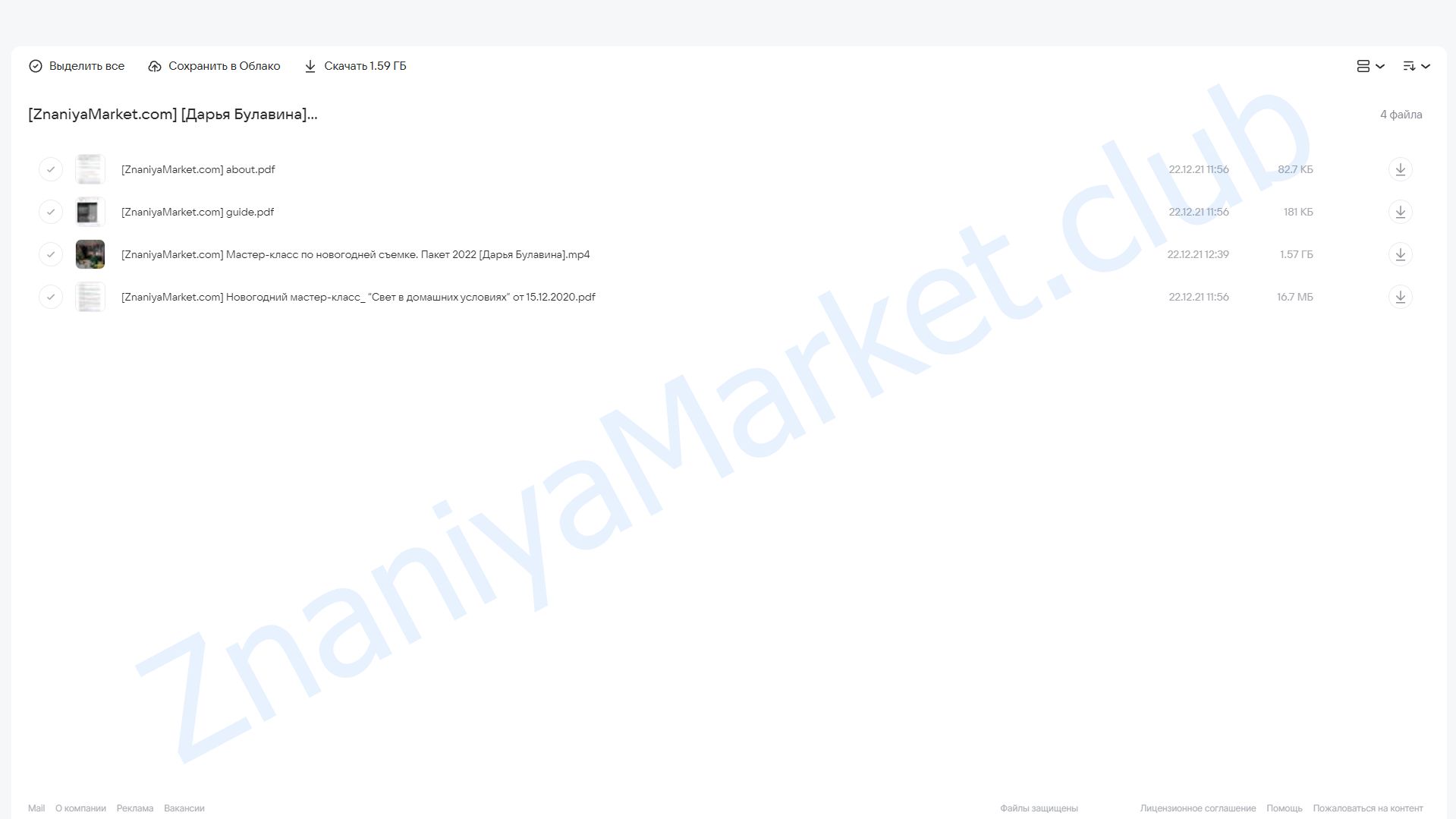 Мастер-класс по новогодней съемке. Пакет «2022» (Дарья Булавина) облако mail, фото 2 из 2.