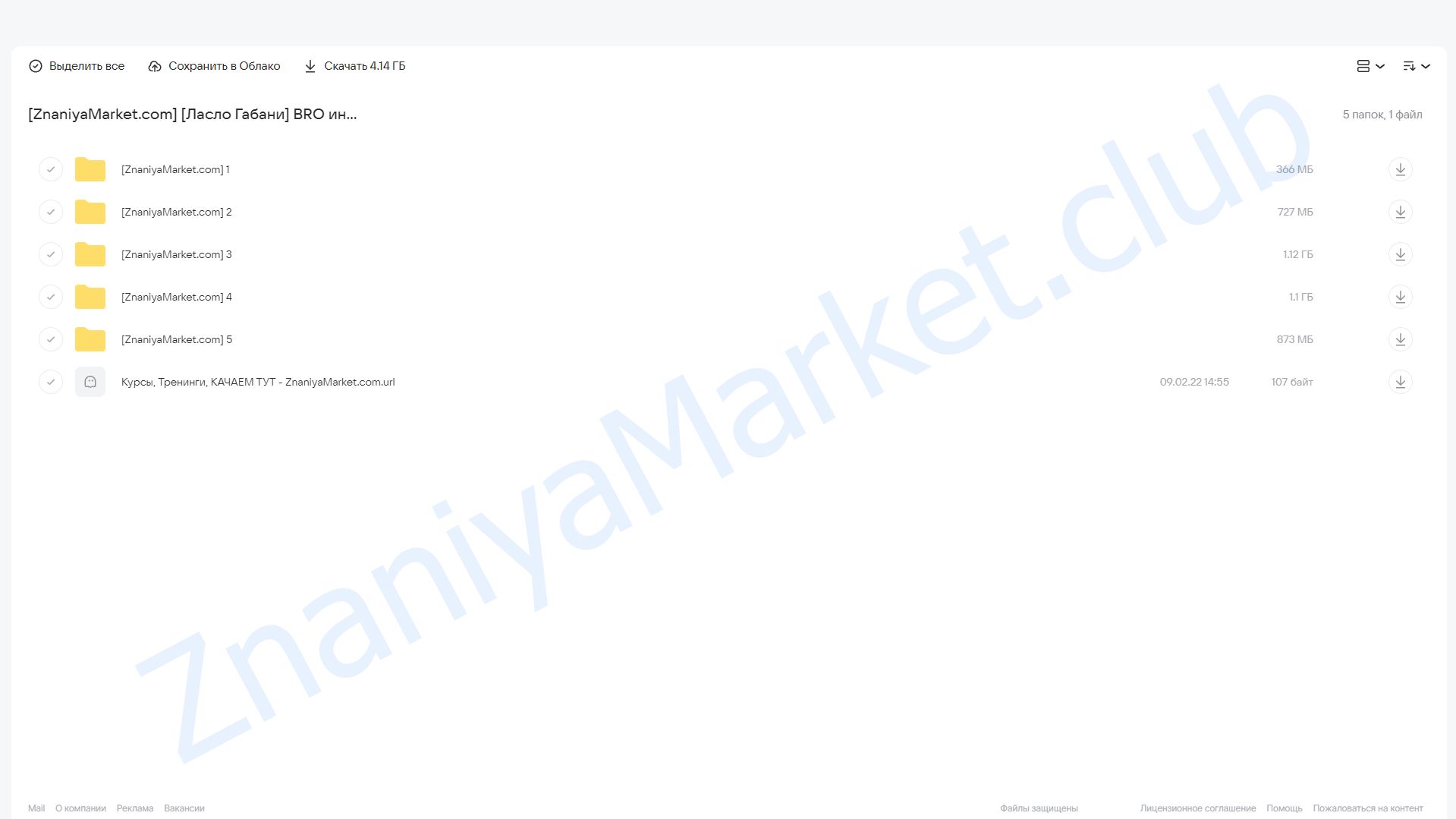 BRO интенсив: создание клуба платной подписки (Ласло Габани) облако mail, фото 2 из 2.