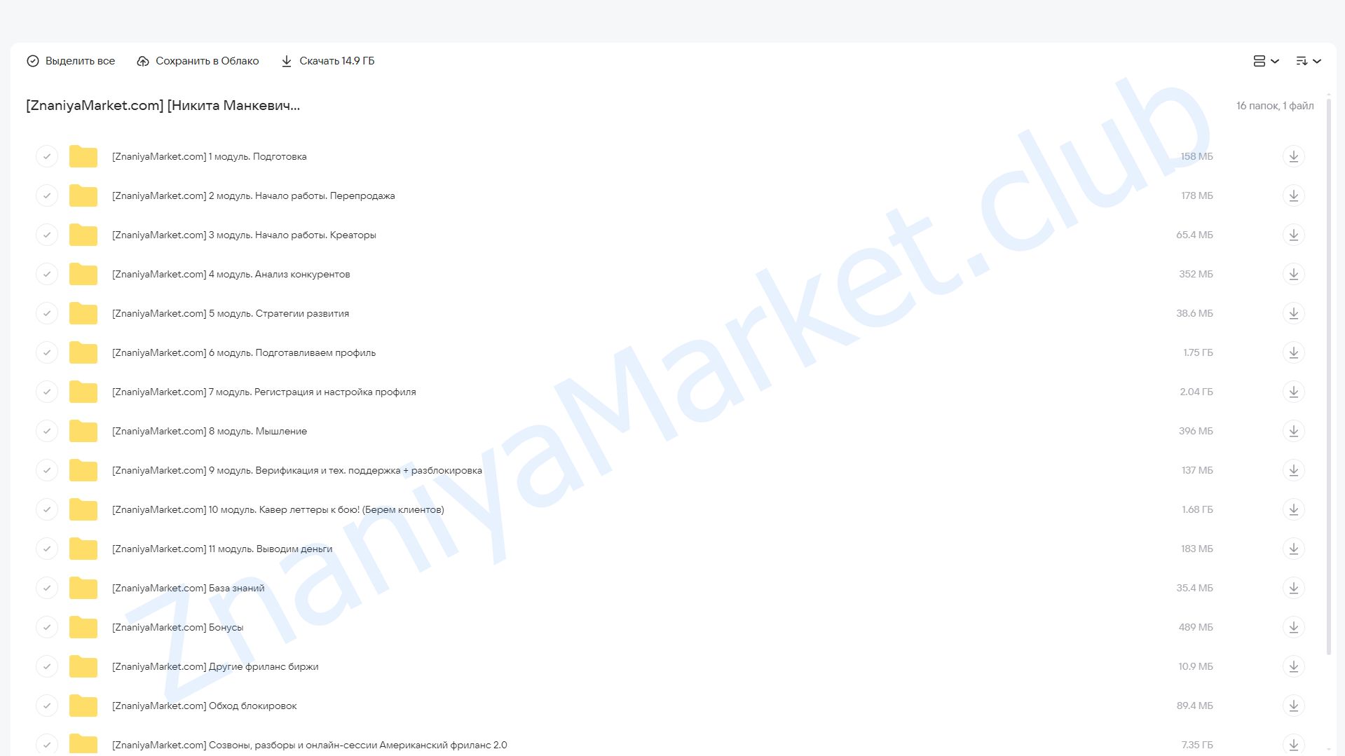 Американский фриланс 2.0 (Никита Манкевич) облако mail, фото 2 из 2.