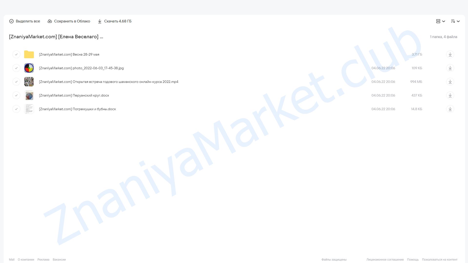 Годовой шаманский курс (Елена Веселаго) облако mail, фото 2 из 2.