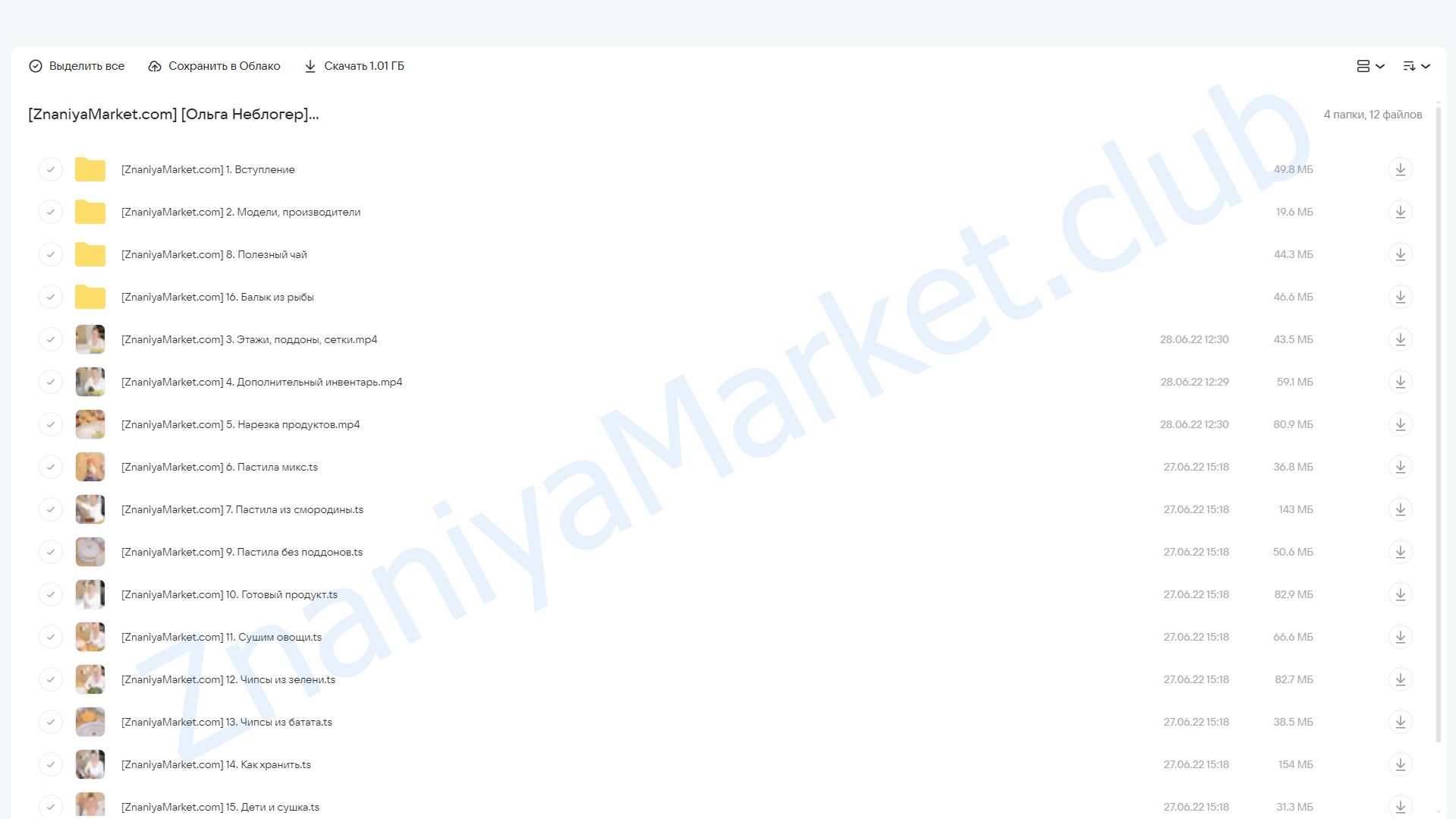 Дегидратор. Запасы на зиму (Ольга Неблогер) облако mail, фото 2 из 2.