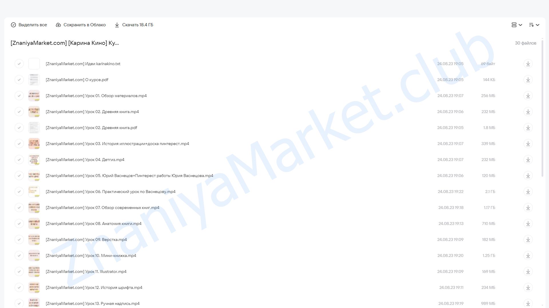 Курс по созданию книги (Карина Кино) облако mail, фото 2 из 2.