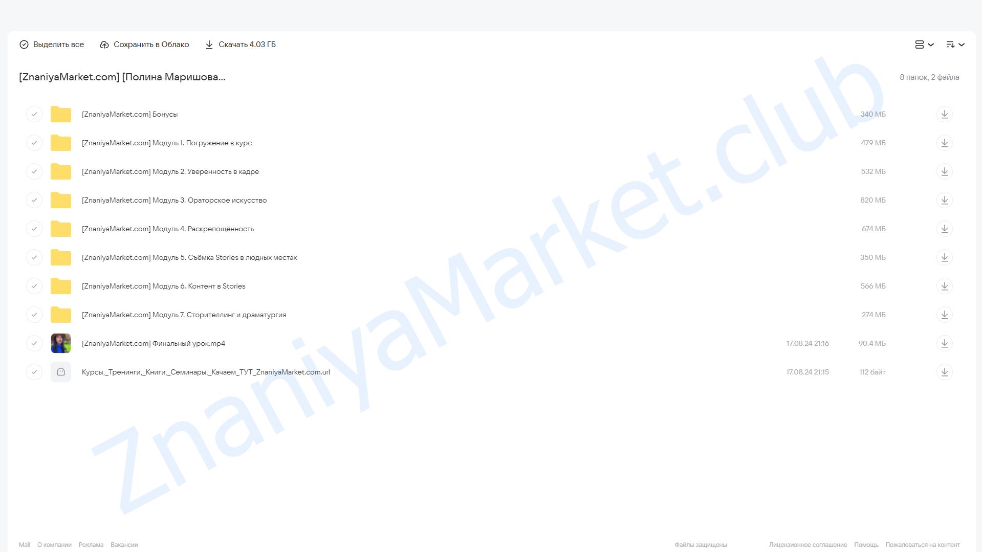 Работа в кадре 4.0. Тариф С куратором (Полина Маришова) облако mail, фото 2 из 2.