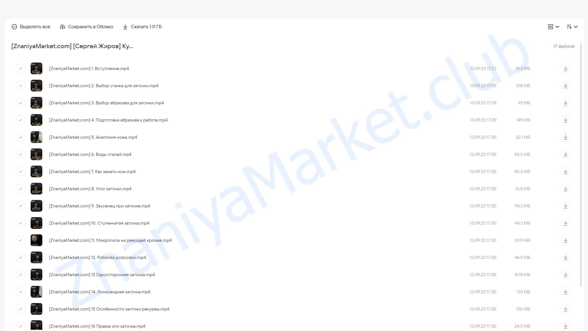 Курс по заточке ножей «Основы заточного мастерства» (Сергей Жиров) облако mail, фото 2 из 2.