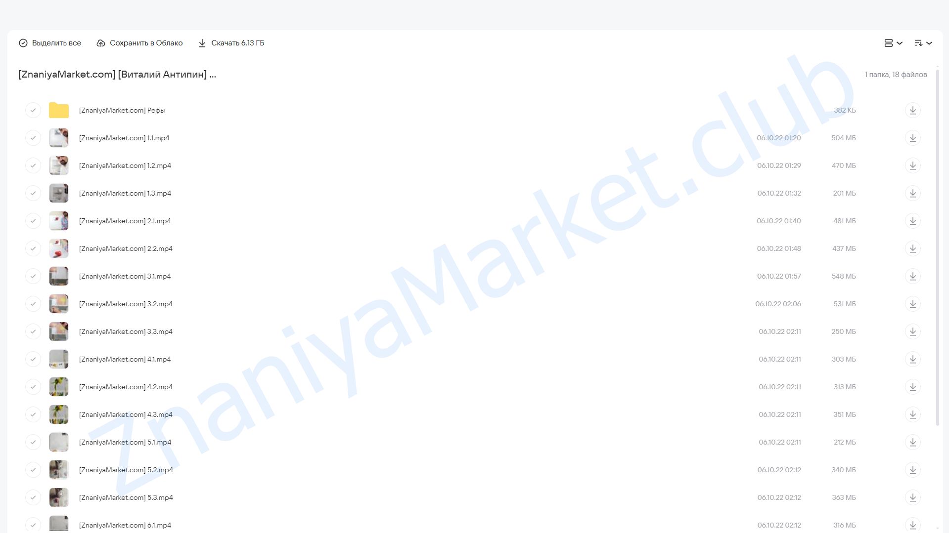 Искусство быстрой живописи. Видеокурс по масляной живописи (Виталий Антипин) облако mail, фото 2 из 2.