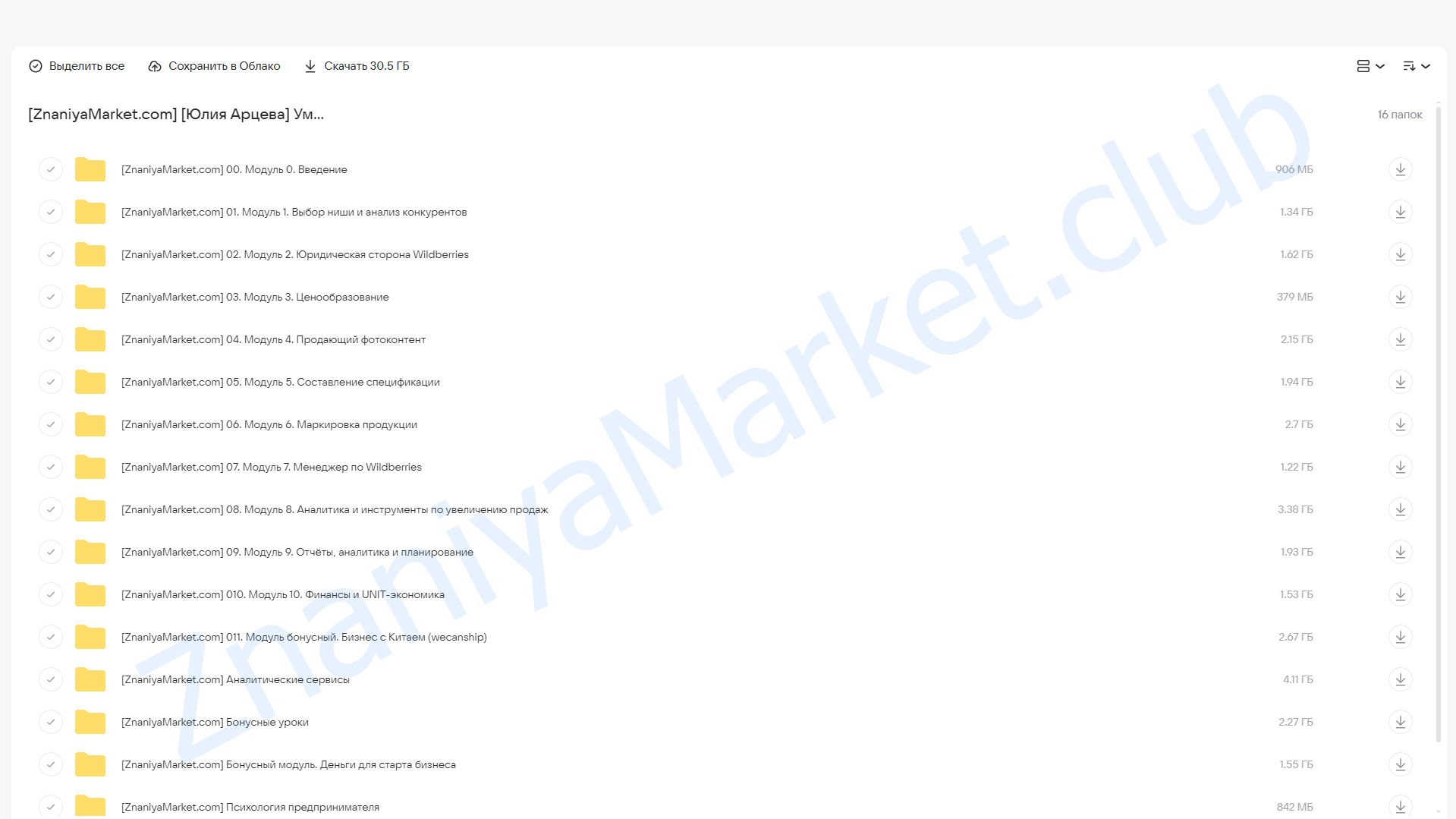 Умный запуск на Wildberries 2022. Тариф VIP (Юлия Арцева) облако mail, фото 2 из 2.