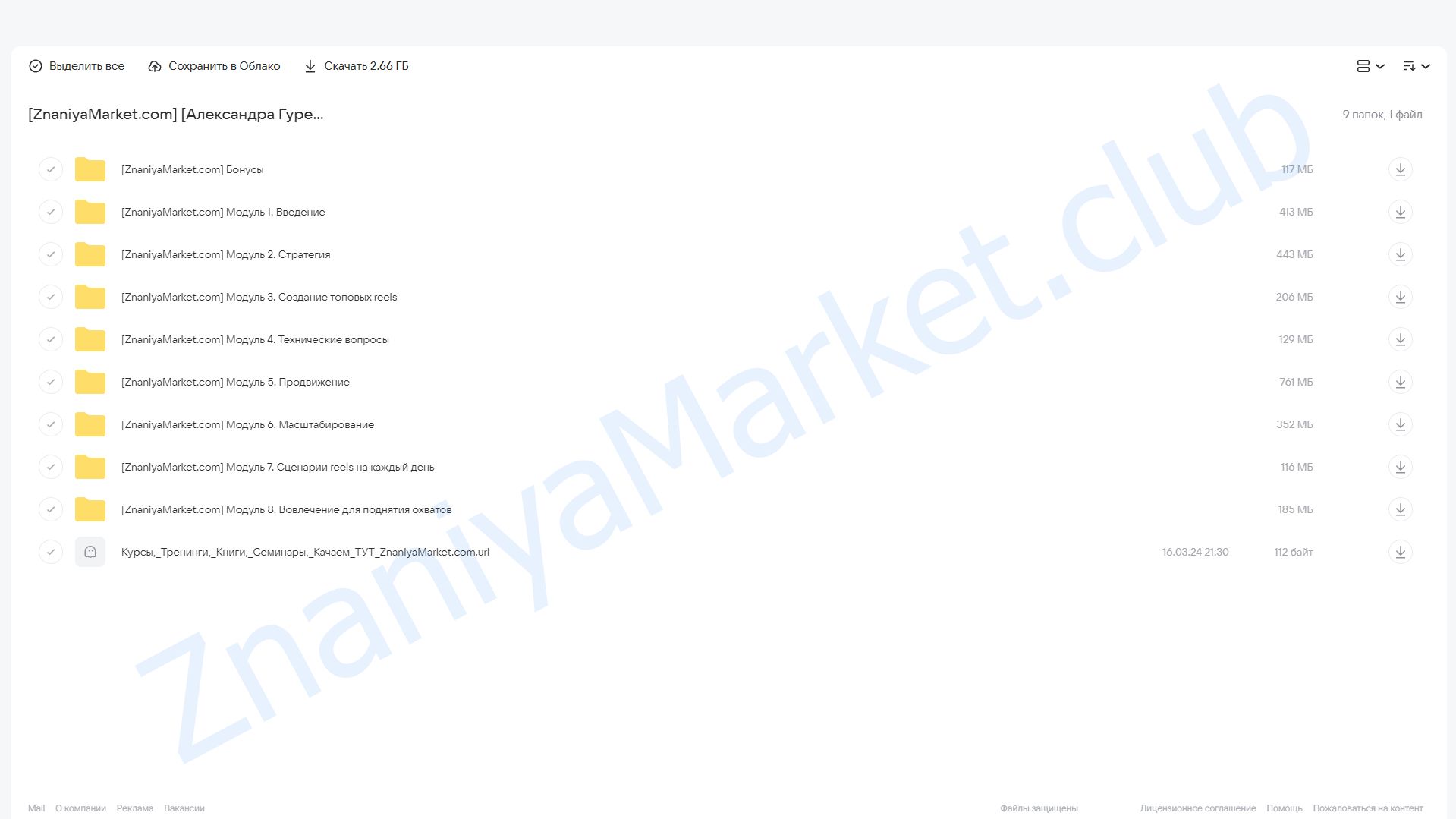 Секреты продающих Reels (Александра Гуреева) облако mail, фото 2 из 2.