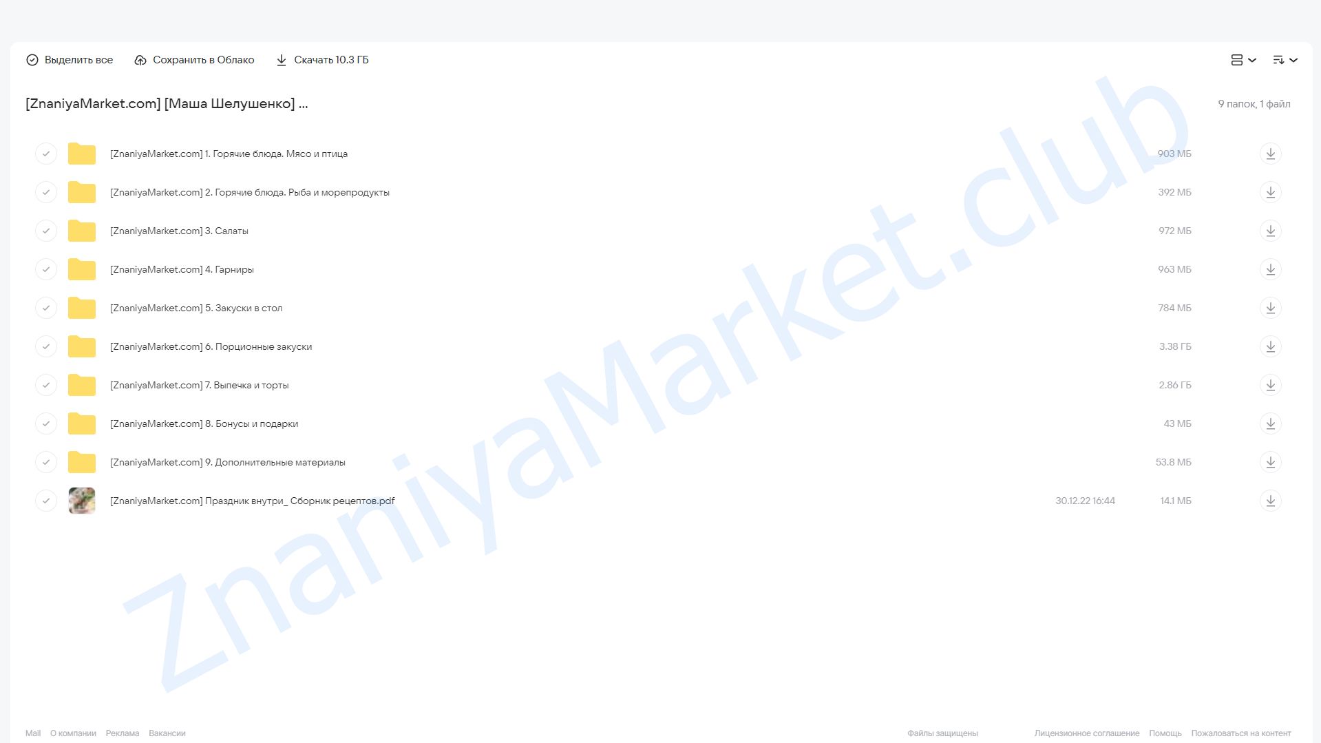 [Welldone] Праздник внутри. Тариф Велдан (Маша Шелушенко) облако mail, фото 2 из 2.