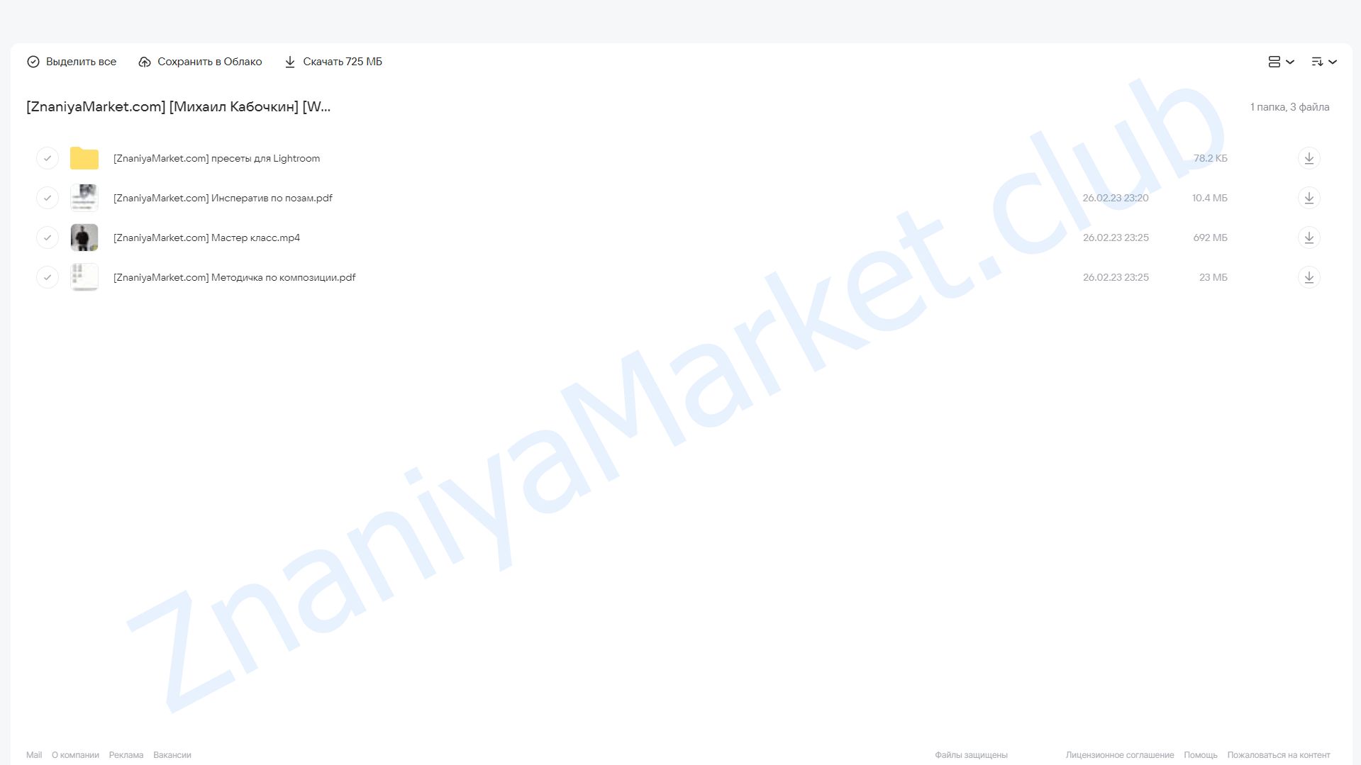 [WhitePhotoSchool] Мастер-класс от Михаила Кабочкина. Тариф Расширенный (Михаил Кабочкин) облако mail, фото 2 из 2.