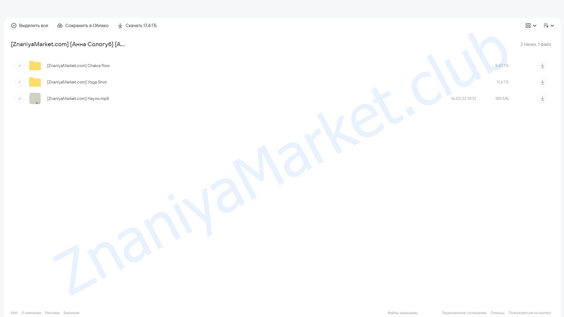 [Aniko Yoga] Ключ к управлению твоим состоянием Yoga Shot. Тариф Четкий (Анна Сологуб) облако mail, фото 2 из 2.