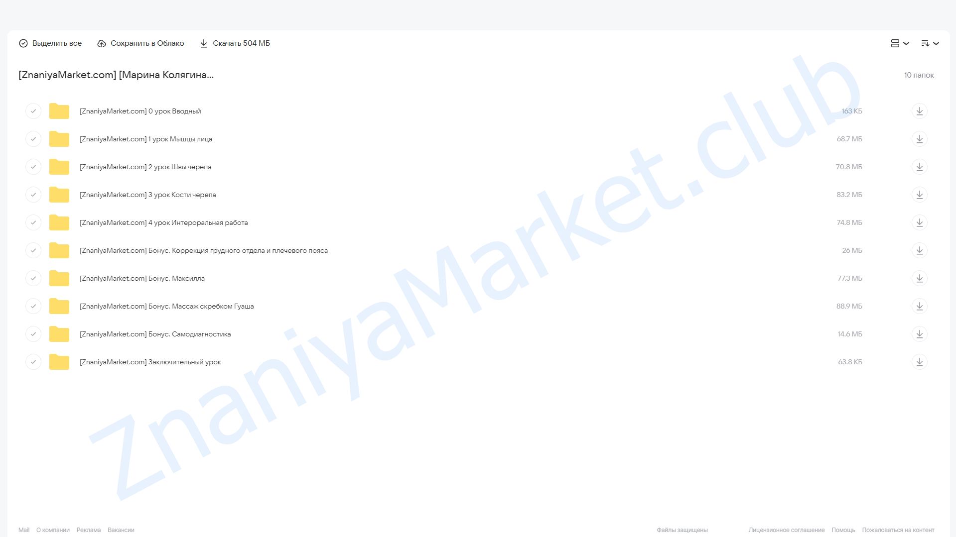 Лицо. Кости. Тариф Стандарт (Марина Колягина) облако mail, фото 2 из 2.