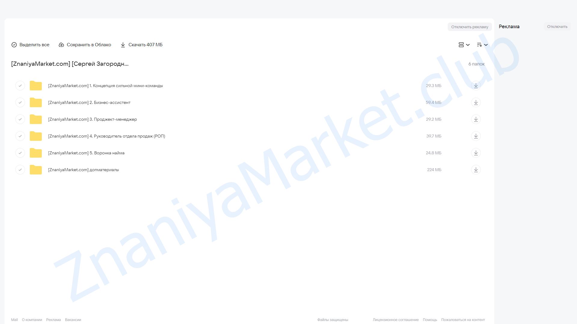 Мини-команда для масштабирования онлайн-школы (Сергей Загородников) облако mail, фото 2 из 2.