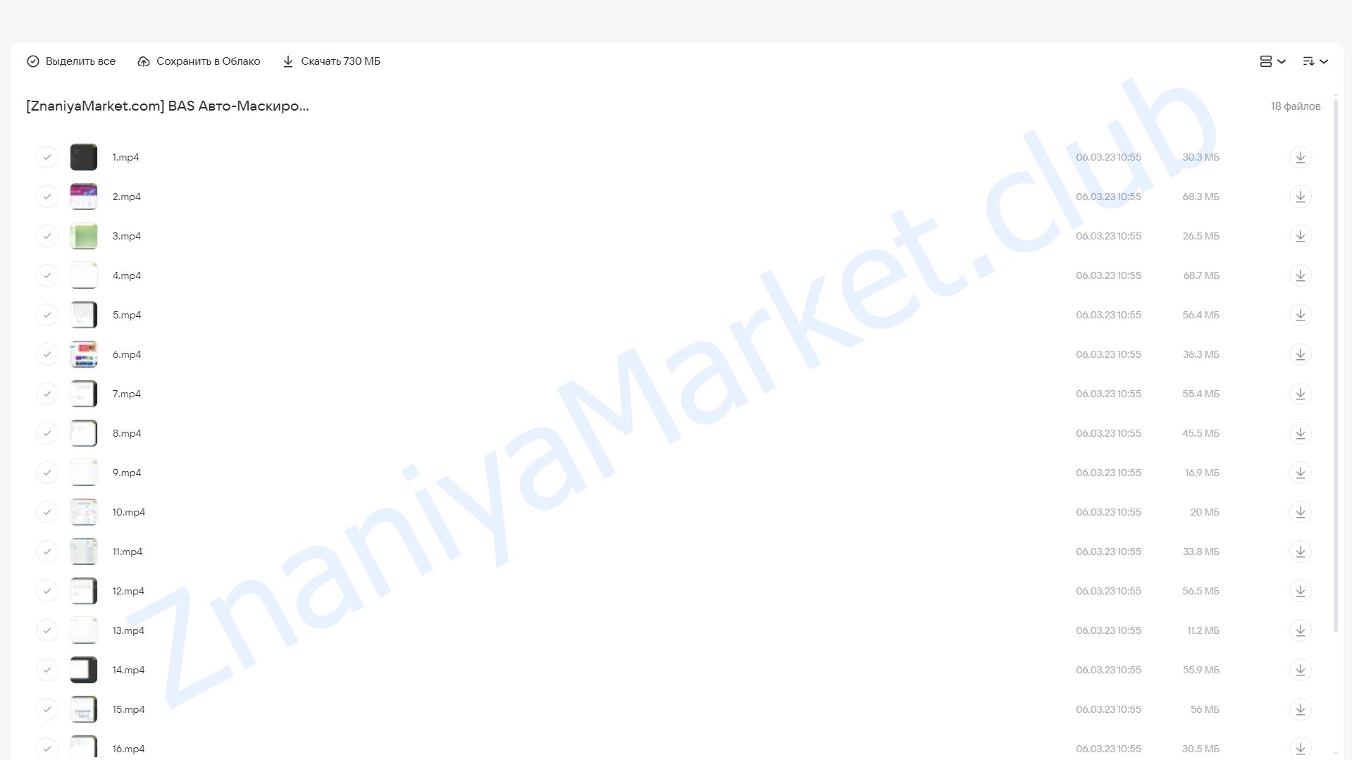 BAS Авто-Маскировка (Павел Дуглас) облако mail, фото 2 из 2.