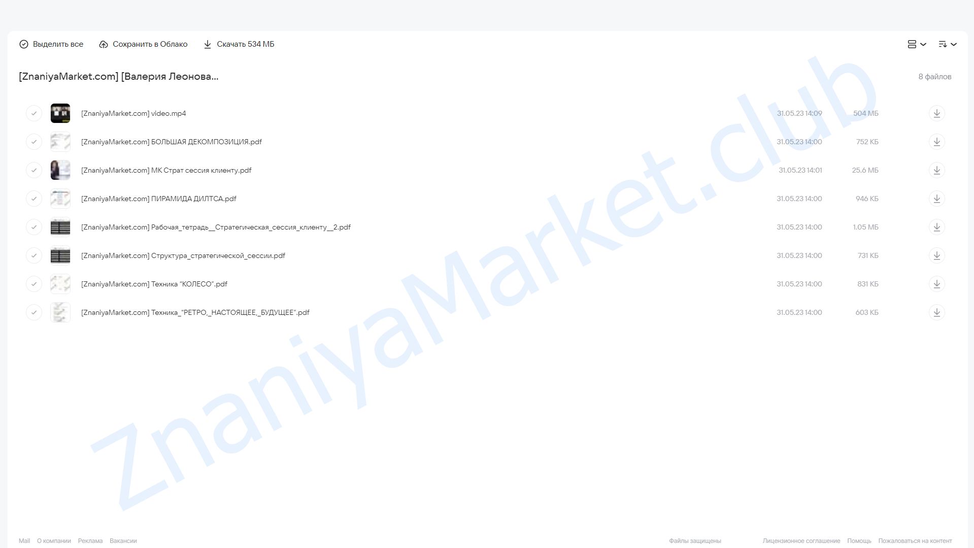 Стратегическая сессия клиенту. Тариф Теория (Валерия Леонова) облако mail, фото 2 из 2.