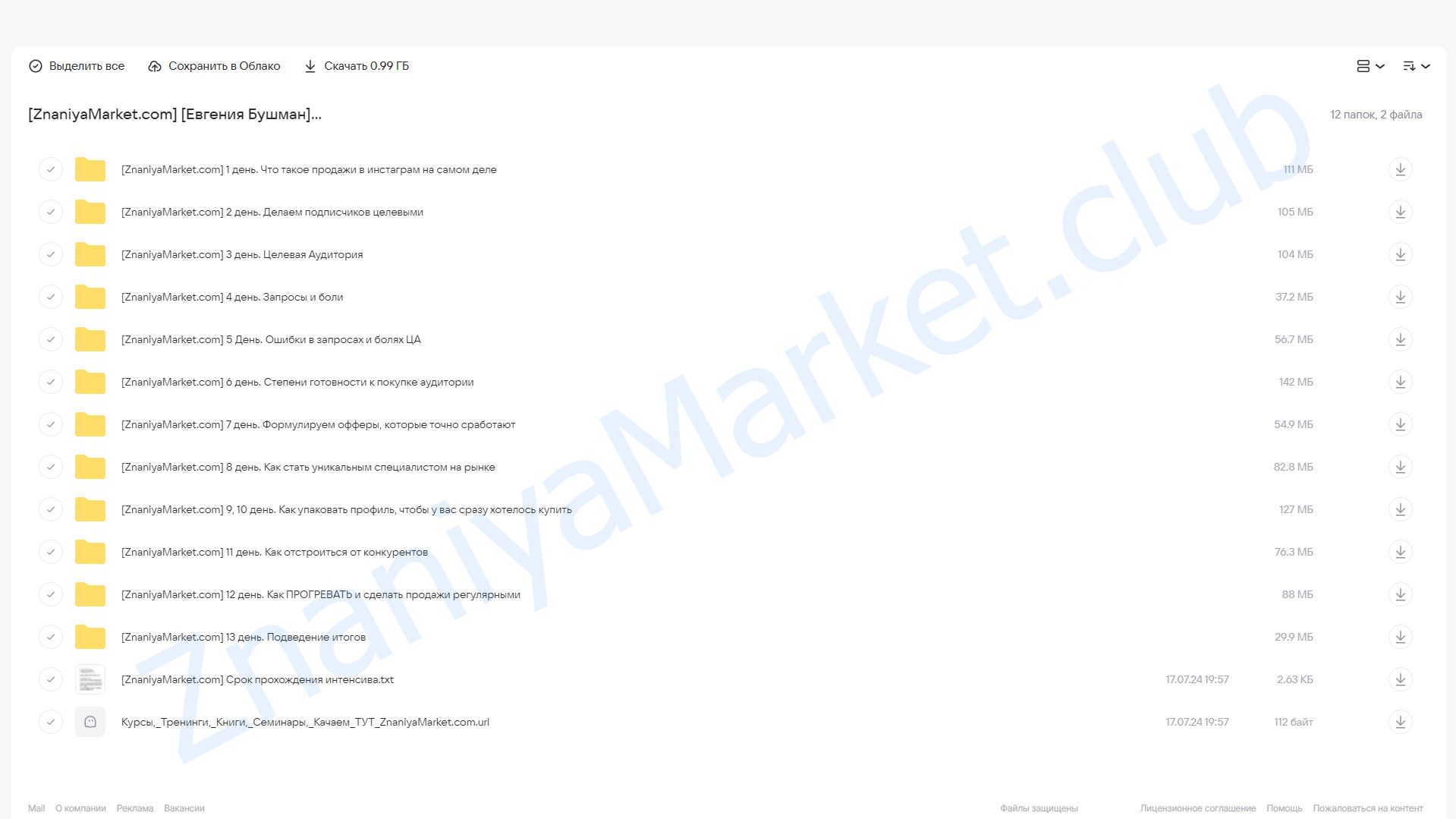 Системные продажи в больших и маленьких блогах. Тариф Silver (Евгения Бушман) облако mail, фото 2 из 2.