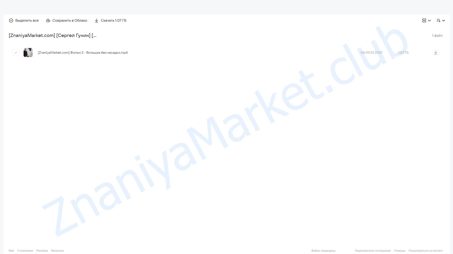 [Школа Сергея Гунина] Гуру света: Финал. Фильм 2 Вспышка без насадки (Сергей Гунин) облако mail, фото 2 из 2.