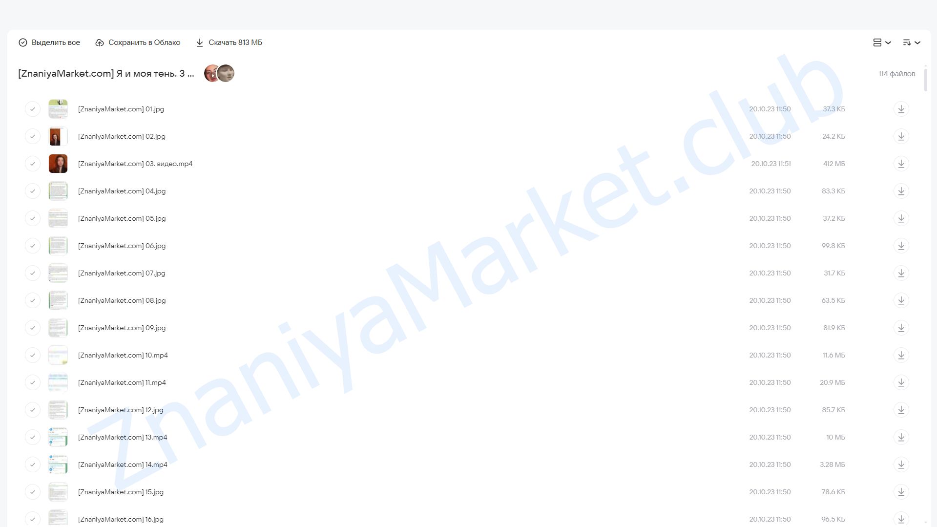 [Школа квантовой психологии] Я и моя тень. 3 Ступень (Юлия Рыжкова) облако mail, фото 2 из 2.