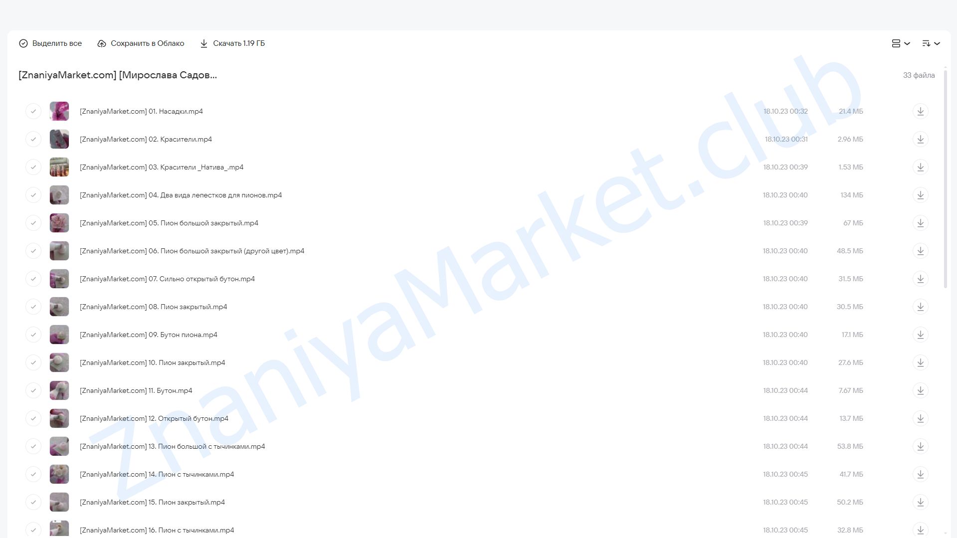 [zefir.mira] Зефирные пионы (Мирослава Садовая) облако mail, фото 2 из 2.