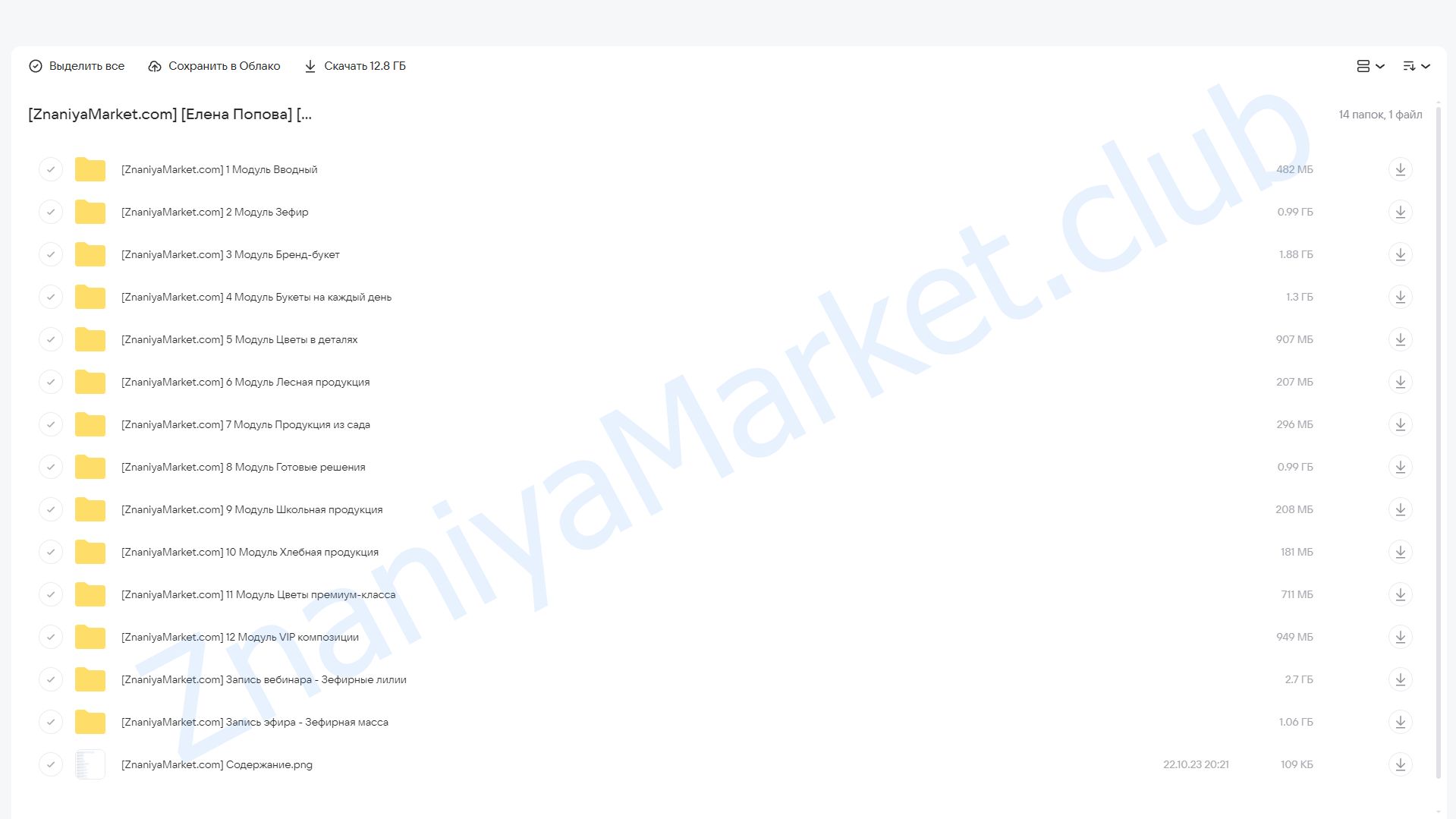 [elenapo11] Зефир в деталях. Тариф Продвинутый (Елена Попова) облако mail, фото 2 из 2.