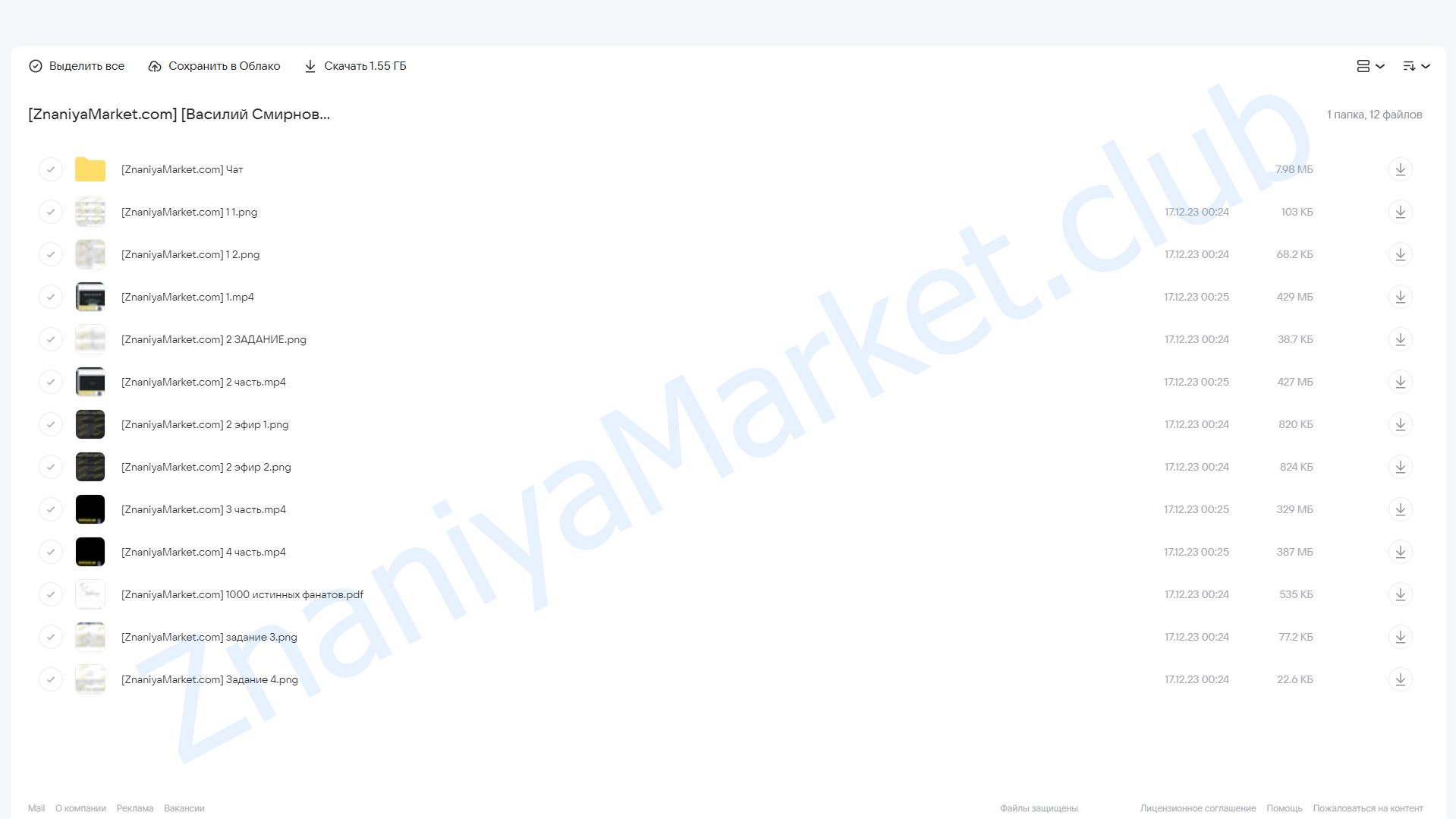 МГ300 (Василий Смирнов) облако mail, фото 2 из 2.