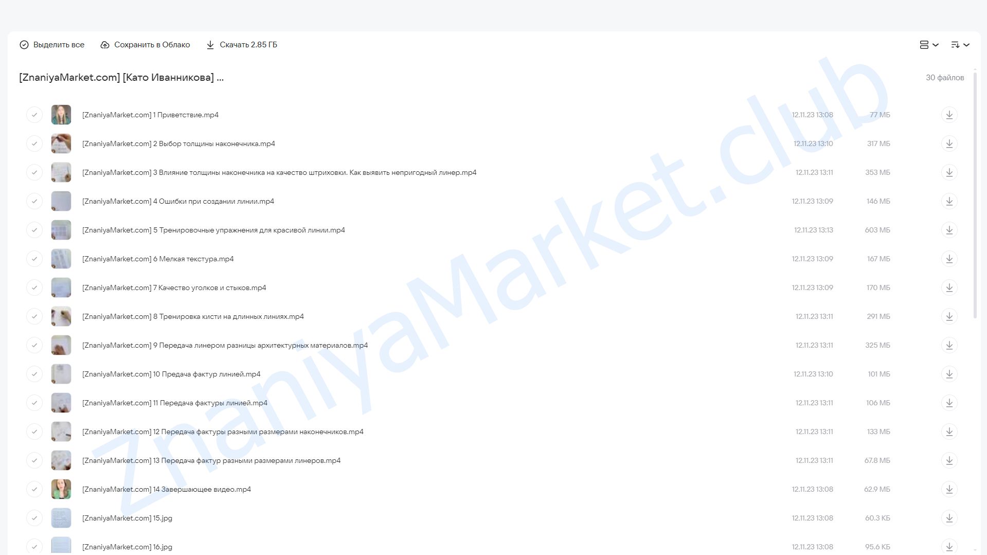 Линеры. Интенсив (Като Иванникова) облако mail, фото 2 из 2.