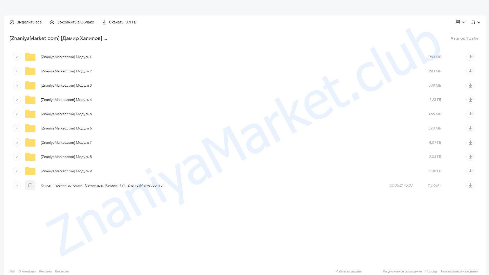 AI-профессионал 2.0. Пакет Стандарт (Дамир Халилов) облако mail, фото 2 из 2.