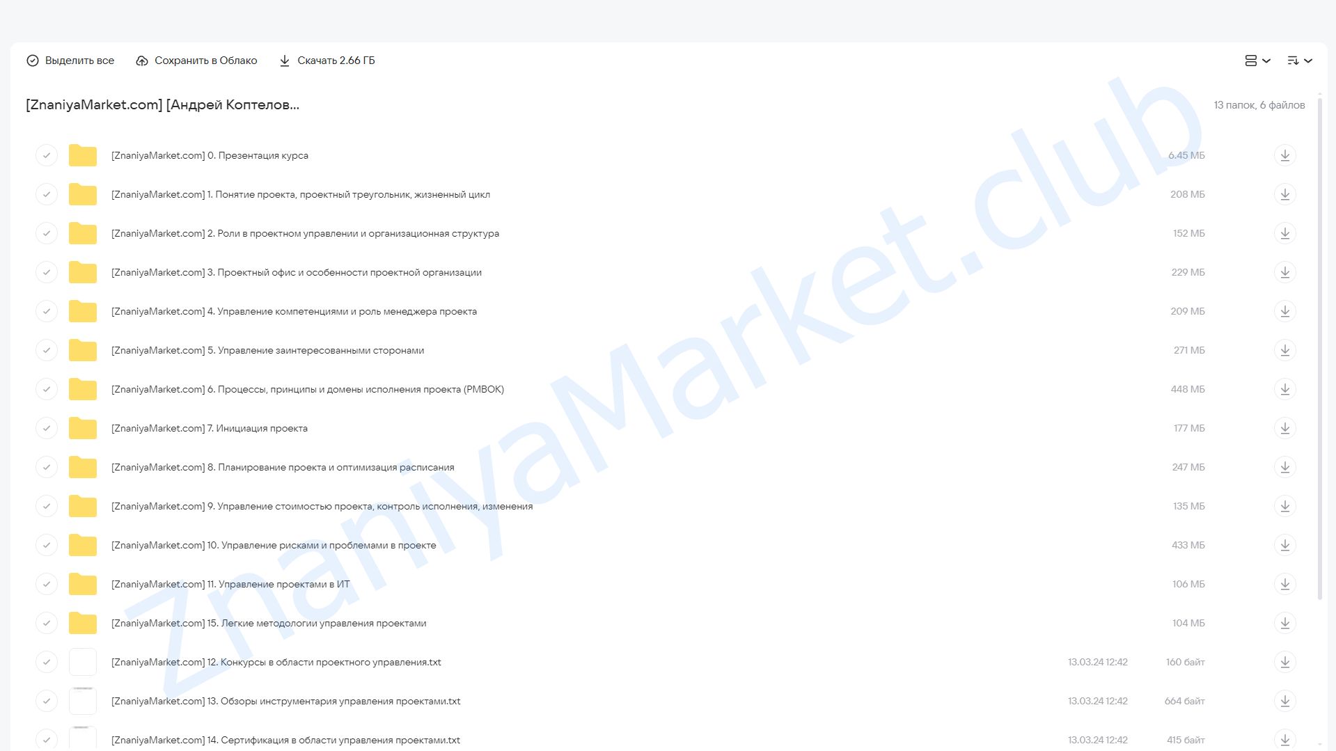 Управление проектами (Андрей Коптелов) облако mail, фото 2 из 2.