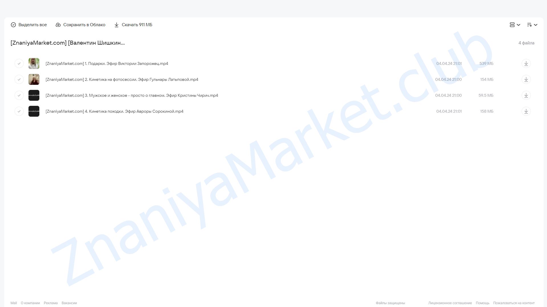 Онлайн-клуб Кинетический имидж. Март 2024 (Валентин Шишкин) облако mail, фото 2 из 2.