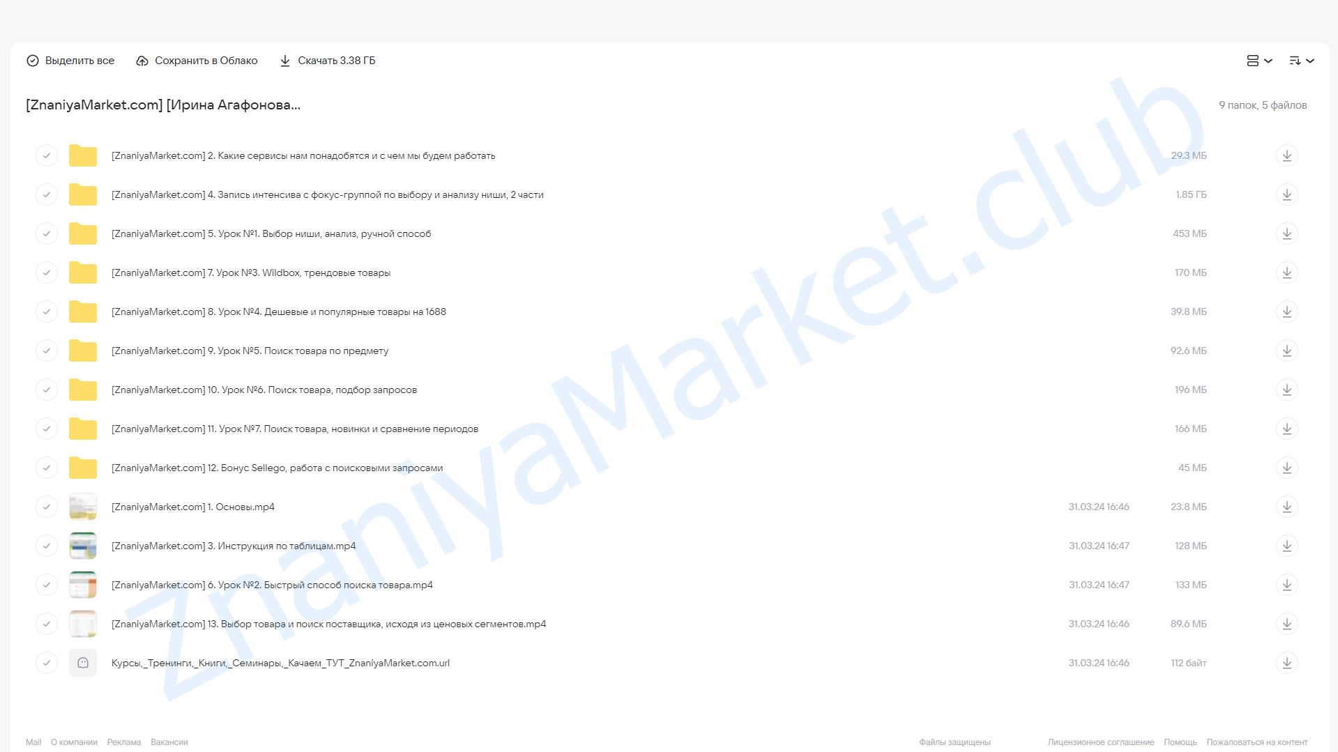 Выбор прибыльной ниши (Ирина Агафонова) облако mail, фото 2 из 2.