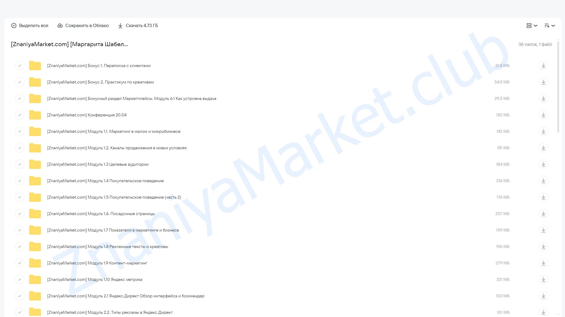 Полный курс по digital-маркетингу. Тариф Базовый (Маргарита Шабельникова) облако mail, фото 2 из 2.